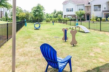 Pet playground and a chair in the grass